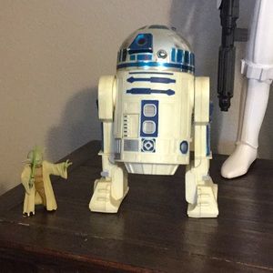 Meet your Posher, Judi lynn